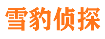 老河口调查公司